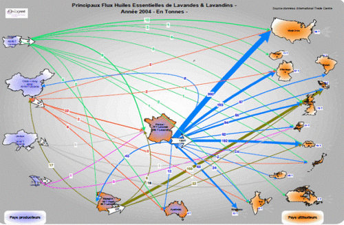 Schéma sur le commerce mondial des huiles essentielles de lavandes et de lavandins - (Source : Onippam)