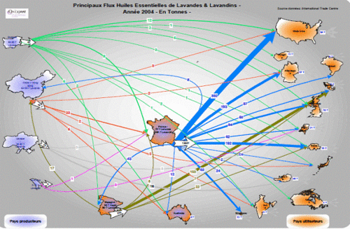Schéma sur le commerce mondial des huiles essentielles de lavandes et de lavandins - (Source : Onippam)