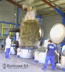 Distillation traditionnelle : récolte sortant - (Photo : Bontoux SA)